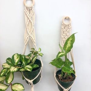 Macrame plant hanger